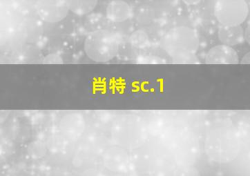 肖特 sc.1